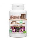 Harpagophytum Bio 400 mg 200 comprimés