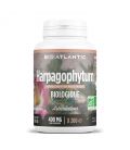 Harpagophytum Bio 400 mg 200 comprimés