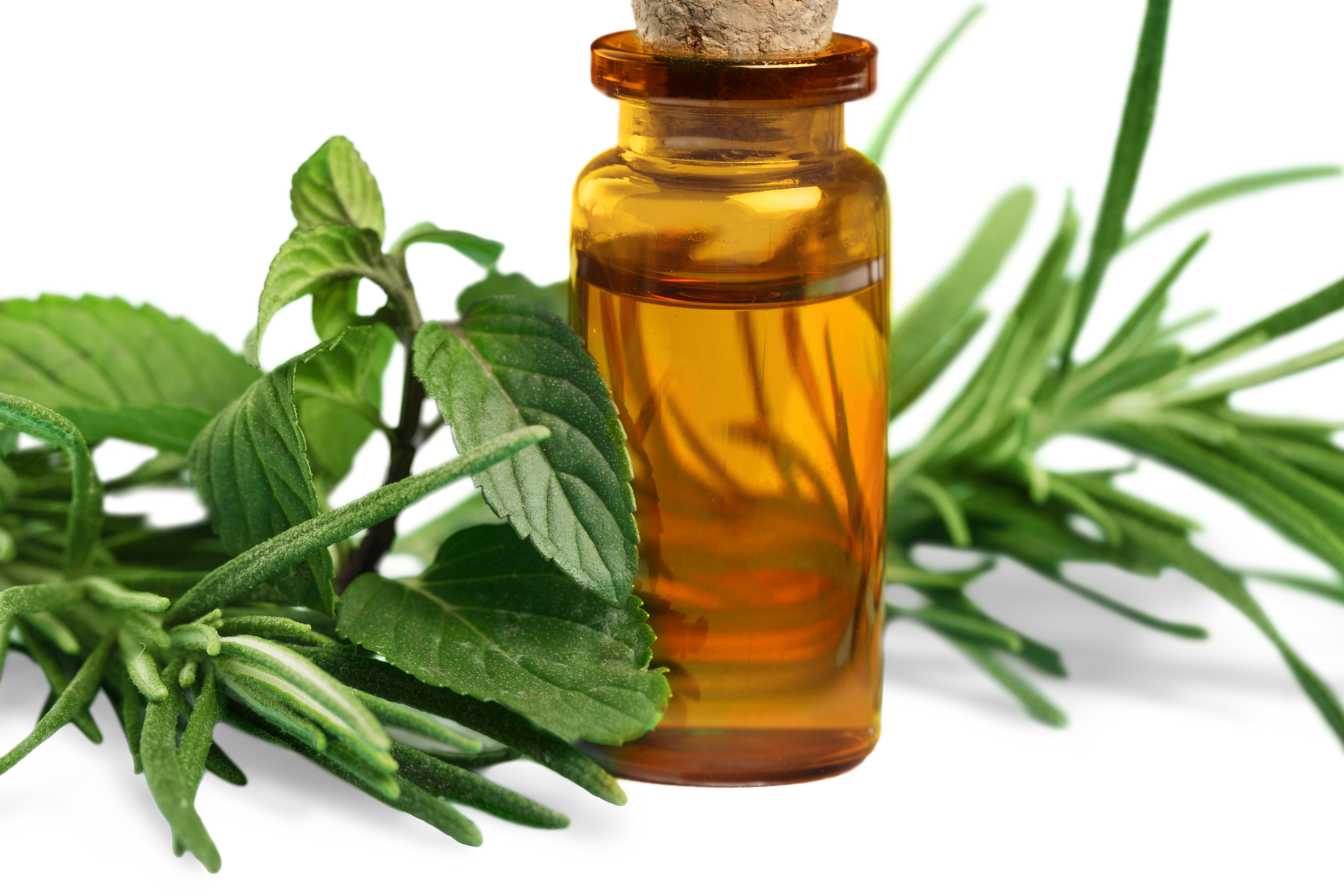 huile-essentielle-cypres-vert-bio-3